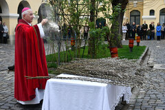 Foto: Bistum Temeswar