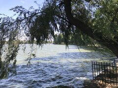 Ein Blick auf das Wasser im Herăstrău-Park
