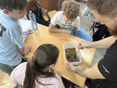 Greifbarer Biologieunterricht: Schüler durften mehrere exotische Tiere live beobachten.