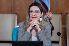 Umweltministerin Diana Buzoianu | Foto: gov.ro