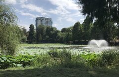 Der Zirkuspark/Parcul Circului im Sommer |Archivbilder: Valentin Brendler