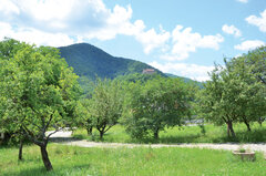 Blick aus dem Garten des Elimheims mit Sicht auf die Michelsberger Burg