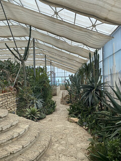 Der Kakteengarten