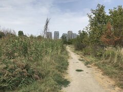 Der Naturpark Văcărești in Bukarest